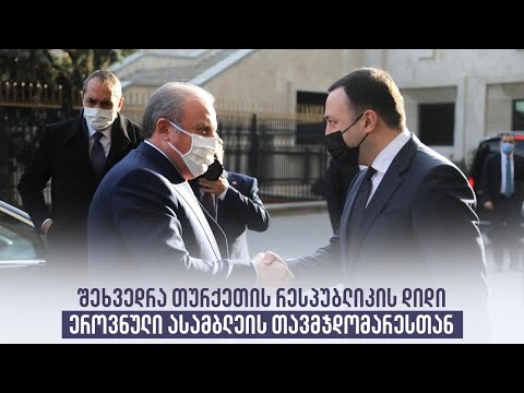 შეხვედრა თურქეთის რესპუბლიკის დიდი ეროვნული ასამბლეის თავმჯდომარესთან